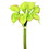 Vickerman FD170302 14" Green Calla Lily 8/Bundle