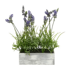 Vickerman FE181101 15" Lavender Plant in Wood Rectangle Pot