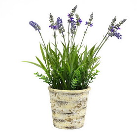 Vickerman FE181301 16.5" Lavender in Round Paper Pot