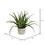 Vickerman FE181501 19.5" Green Aloe in Round Concrete Pot