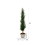 Vickerman FG190148 48" Potted Cedar Tree