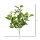 Vickerman FH170201-3 17" Peperomia Bush-Green/White 3Pk