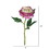 Vickerman FH170302 13" Purple Peony Rose Stem 6/pk