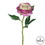 Vickerman FH170302 13" Purple Peony Rose Stem 6/pk