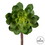 Vickerman FH180401 6" Green Succulent Stem 2/Pk