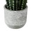 Vickerman FH181201 17" Green Cactus in Concrete Pot