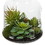 Vickerman FH182501 10" Green Asst Succulents in Glass Jar