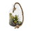 Vickerman FH182601 9" Green Asst Succulents in Glass Jar