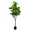 Vickerman FH190160 6' Green Potted Fiddle Tree