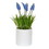 Vickerman FJ180401 13.5" Hyacinth Flower in Ceramic Pot