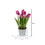 Vickerman FJ181001 10.5" Asst Tulip in Metal Pot 3/set