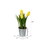 Vickerman FJ181101 9.5" Asst Tulip in Metal Pot 3/set