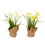 Vickerman FJ181201 10" Yellow Daffodil Burlap Pot 2/set