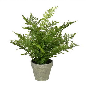 Vickerman FJ190419 19" Green Fern In Pot