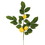 Vickerman FK170701-4 20" Green Salal Leaf Lemon Spray 4/Pk