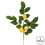 Vickerman FK170701-4 20" Green Salal Leaf Lemon Spray 4/Pk