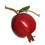 75MM Pomegranate