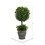 Vickerman FK172601 13" Boxwood Topiary In Container