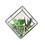 Vickerman FM181101 5.5" Green Succulents Diamond Terrarium