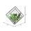 Vickerman FM181101 5.5" Green Succulents Diamond Terrarium