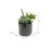 Vickerman FM181301 8" Green Succulents in Cement Pot