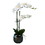 Vickerman FN180301 23" White Phalaenopsis in Metal Pot RT