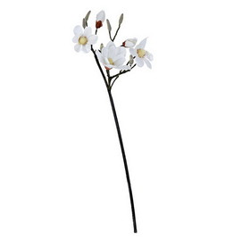 Vickerman FN181101 36" White Magnolia Spray w 5 Flowers