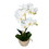 Vickerman FN181301 23" White Phal in Pot Real Touch