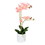 Vickerman FN190302 21" Pink Phalaenopsis In Pot