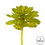 Vickerman FO180901 6" Green/Brown Spotted Echeveria 3/Pk