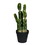 Vickerman FO190114 14" Green Potted Cactus