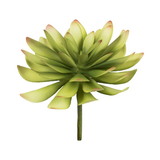 Vickerman FO195006 6