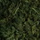 Vickerman FQ170102 15.5 " Reindeer Moss Square-Dark Green