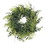 Vickerman FQ171918 18" Buckler Fern & Grass Wreath-Green