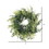 Vickerman FQ171918 18" Buckler Fern & Grass Wreath-Green
