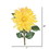 Vickerman FQ172002 28" Dahlia Stem Yellow