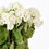 Vickerman FQ173104-4 18" White Geranium Bush 4/pk