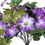 Vickerman FQ180101 22" Purple Petunia Bush