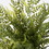 Vickerman FQ180502 18" Green Boston Fern Bush