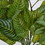 Vickerman FQ181101 24" Green Zebra Leaf Bush Vine 2/Pk