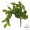 Vickerman FQ181101 24" Green Zebra Leaf Bush Vine 2/Pk