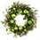 Vickerman FQ191322 22" Green Apples Mixed Twig Wreath