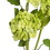 Vickerman FS190704 23.5" Green Ball Flower Spray 2/Pk
