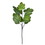 Vickerman FT190602 26" Green Fig Leaf Spray Pk/3