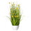 Vickerman FV190331 31" Yellow Potted Cosmos Grass