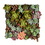 Vickerman FX190617 16.5" Multi-Colored Succulent Wall Arran