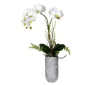 Vickerman FX191017 17" White Yellow Orchid In Glass Pot