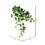 Vickerman FZ190218 18" Varigated Green Ivy Hanging Bsh 3/Pk