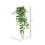 Vickerman FZ190234 34" Varigated Green Ivy Hanging Bush