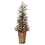 Vickerman G202246LED 4.5'x20" Frost Berry Potted DuraLt 100WW